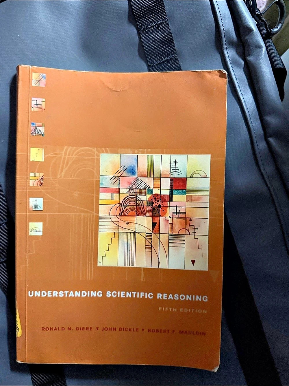 Understanding Scientific Reasoning 5th Edition Giere Bickle Mauldin